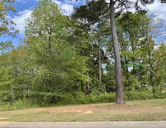 0.41 Acres of Residential Land for Sale in Lexington, South Carolina