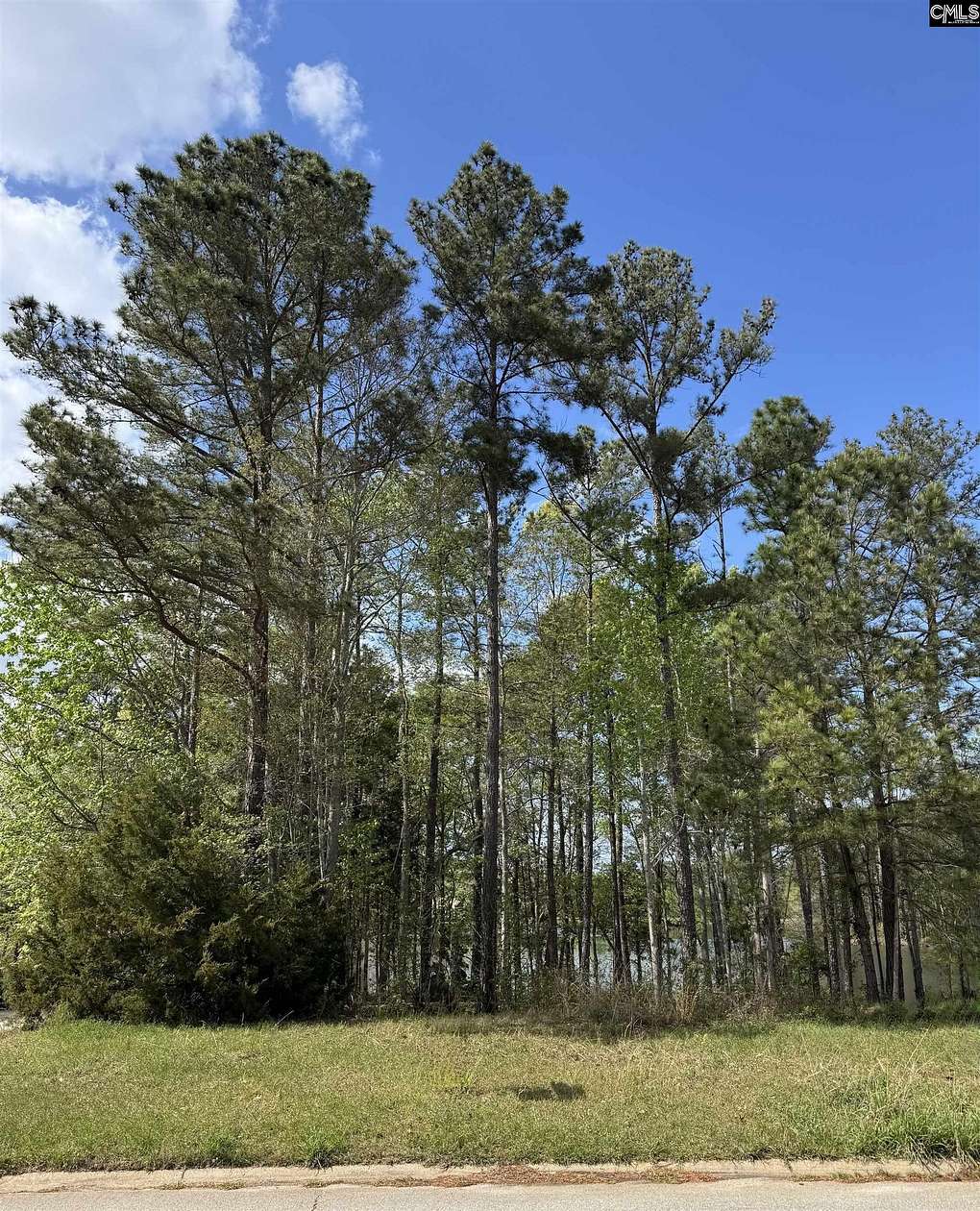 0.54 Acres of Residential Land for Sale in Lexington, South Carolina