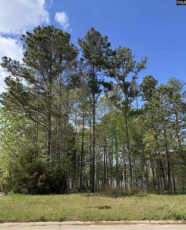 0.54 Acres of Residential Land for Sale in Lexington, South Carolina