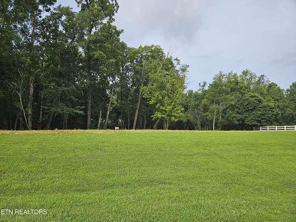 0.72 Acres of Residential Land for Sale in Rockwood, Tennessee