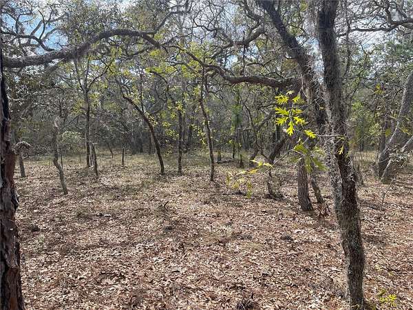 1 Acre of Residential Land for Sale in Dunnellon, Florida