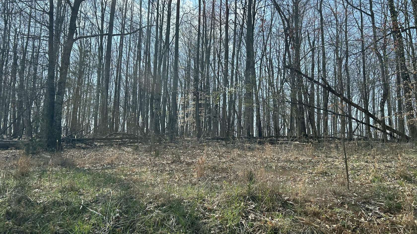 9.6 Acres of Residential Land for Sale in Forest, Virginia