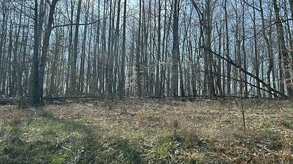 9.6 Acres of Residential Land for Sale in Forest, Virginia