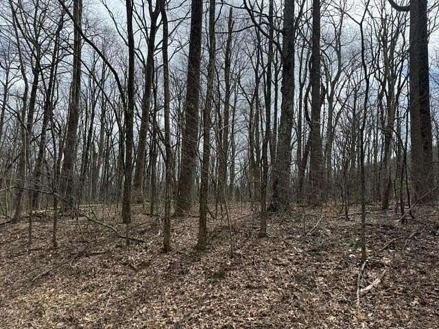 5.66 Acres of Residential Land for Sale in Jasper, Georgia