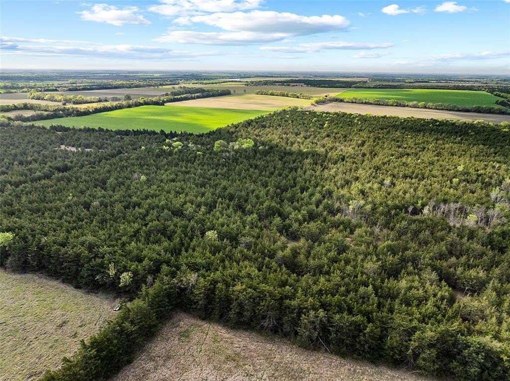 65.6 Acres of Recreational Land for Sale in Cooper, Texas