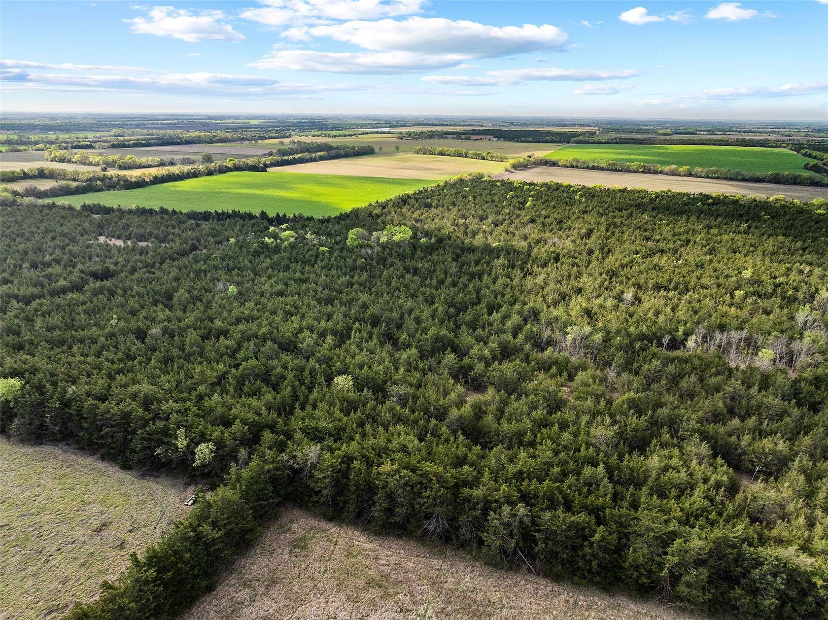 65.6 Acres of Recreational Land for Sale in Cooper, Texas