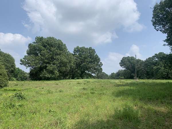 11.3 Acres of Land for Sale in Oakwood, Texas