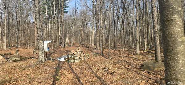 1 Acre of Land for Sale in Monticello, New York