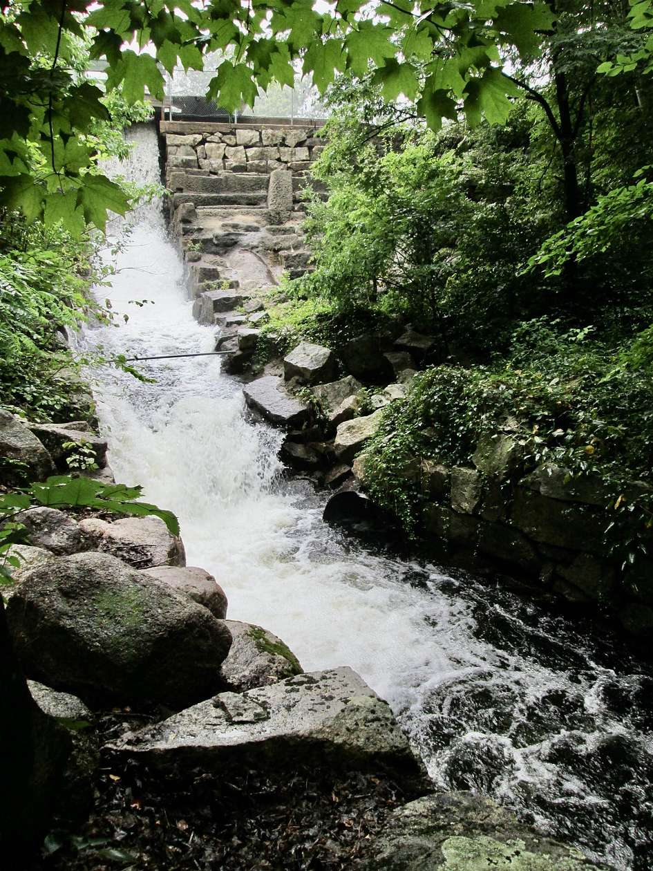 1.7 Acres of Residential Land for Sale in Ossipee, New Hampshire