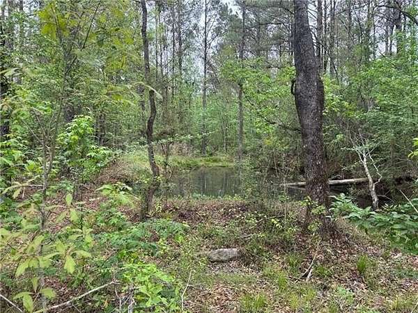 5 Acres of Residential Land for Sale in Covington, Louisiana