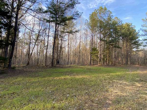 27 Acres of Recreational & Residential Land for Sale in Double Springs, Alabama