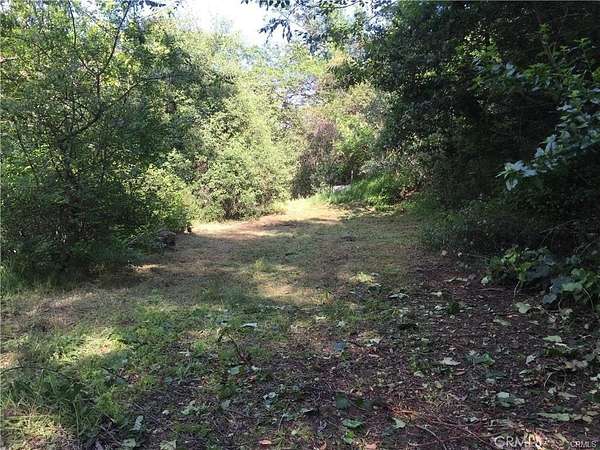 0.37 Acres of Residential Land for Sale in Silverado, California