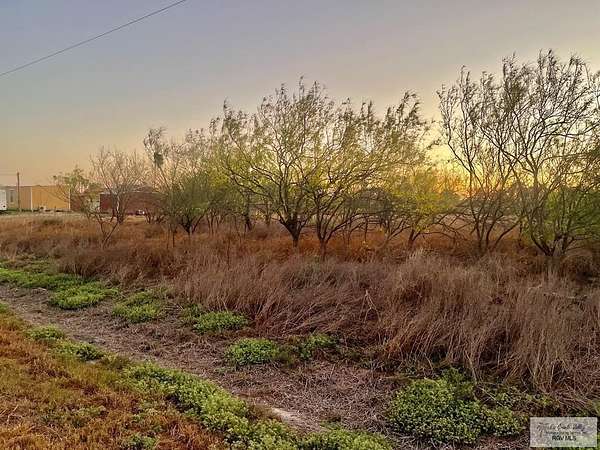 14.3 Acres of Land for Sale in La Feria, Texas