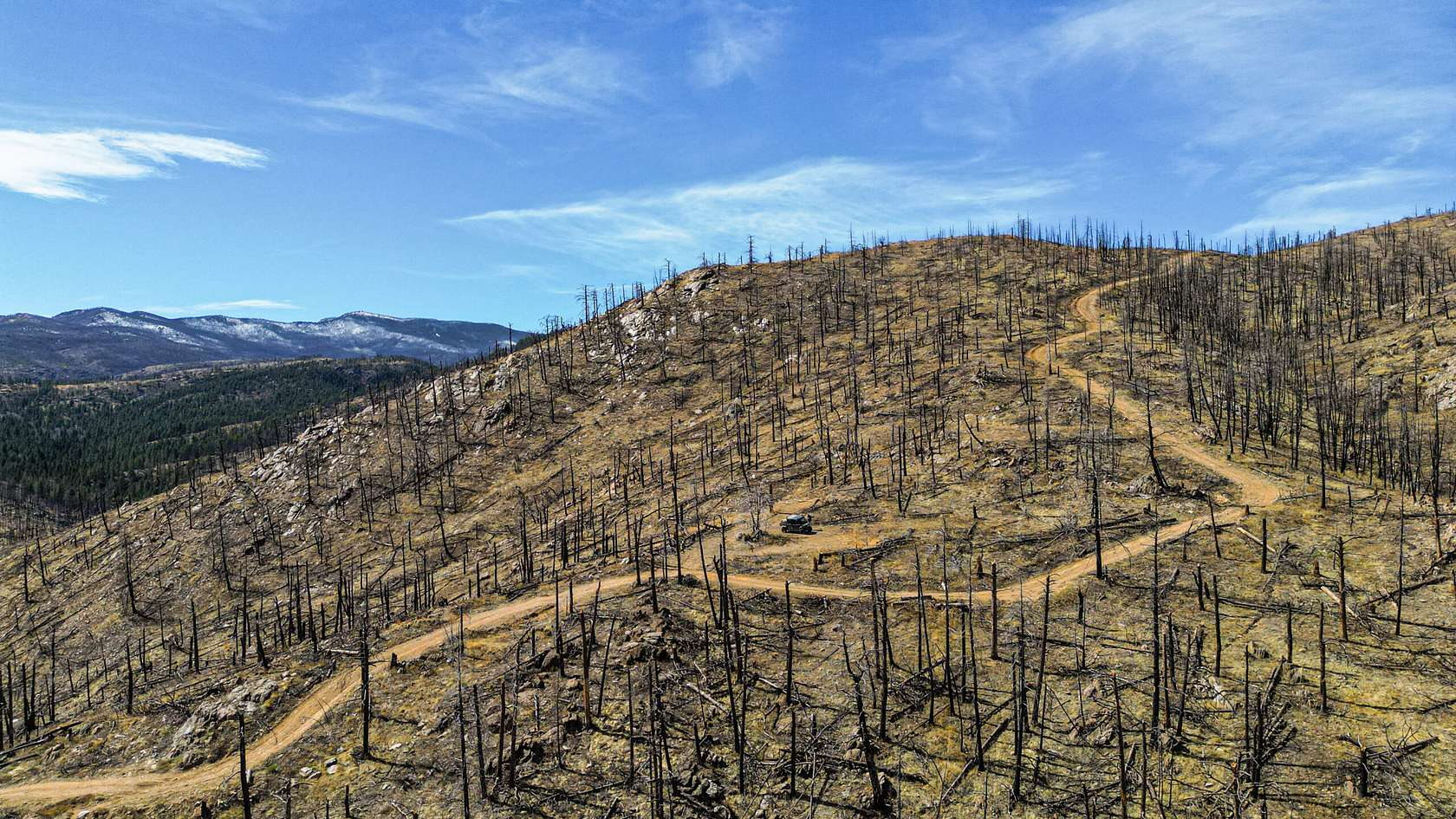 35 Acres of Recreational Land for Sale in Bellvue, Colorado