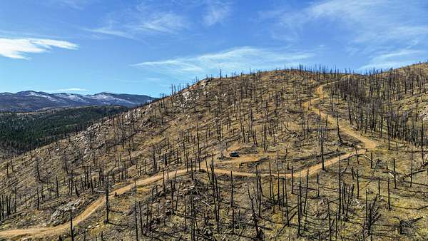 35 Acres of Recreational Land for Sale in Bellvue, Colorado