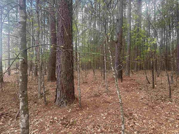 0.35 Acres of Residential Land for Sale in Hot Springs Village, Arkansas