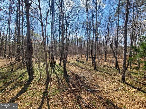 5.23 Acres of Land for Sale in Buckingham, Virginia