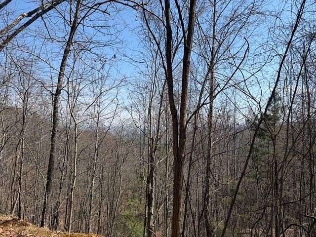 3.59 Acres of Residential Land for Sale in Brasstown, North Carolina