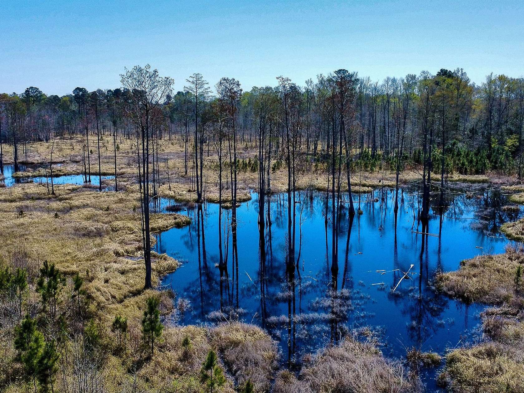129 Acres of Recreational Land for Sale in Denmark, South Carolina