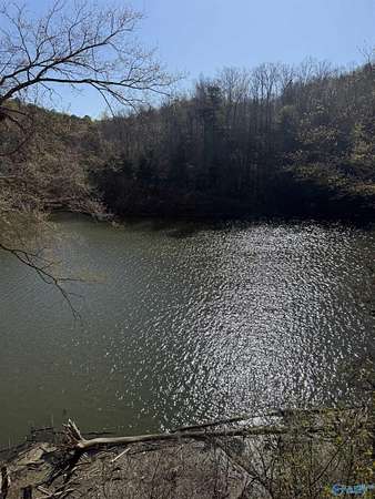 3.14 Acres of Land for Sale in Arley, Alabama