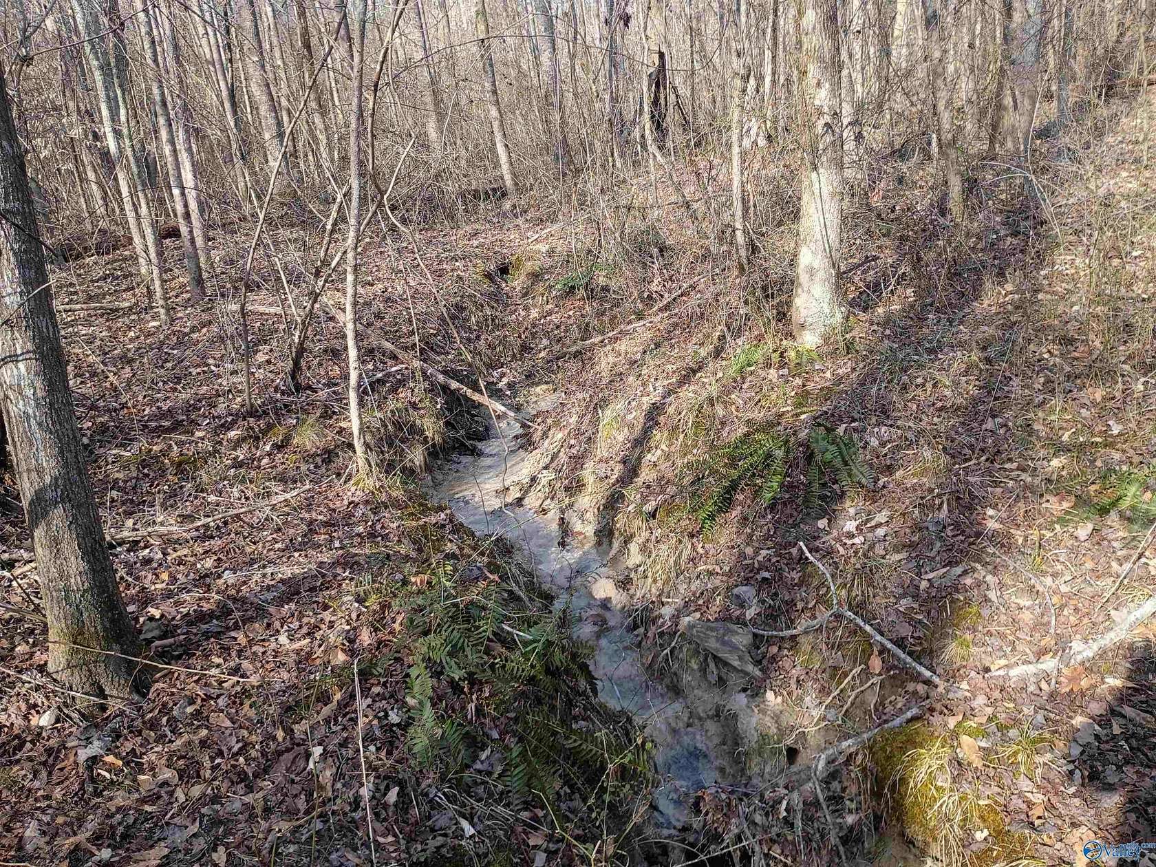 18 Acres of Land for Sale in Haleyville, Alabama