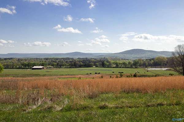 16.6 Acres of Land for Sale in Brownsboro, Alabama