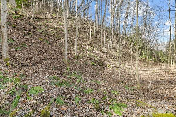 0.53 Acres of Residential Land for Sale in Maggie Valley, North Carolina