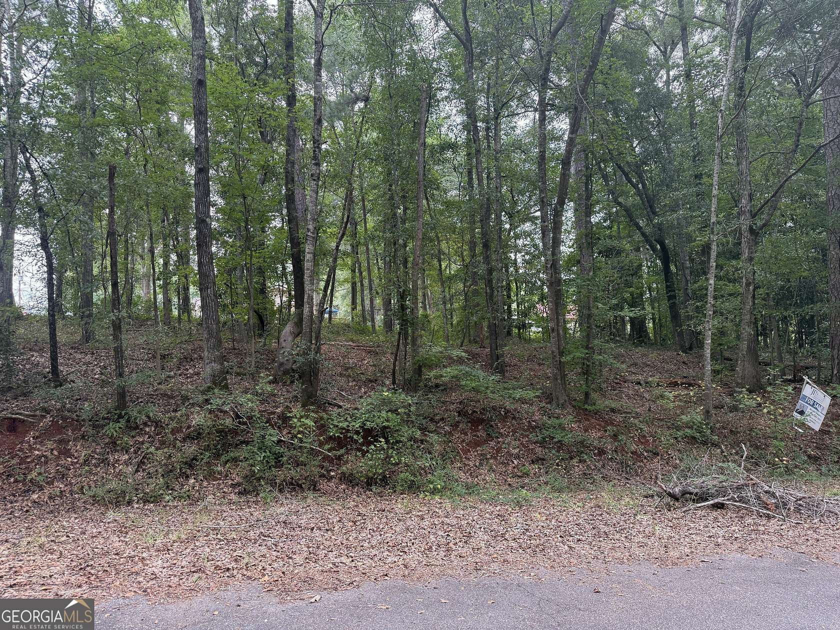 1 Acre of Residential Land for Sale in Thomaston, Georgia