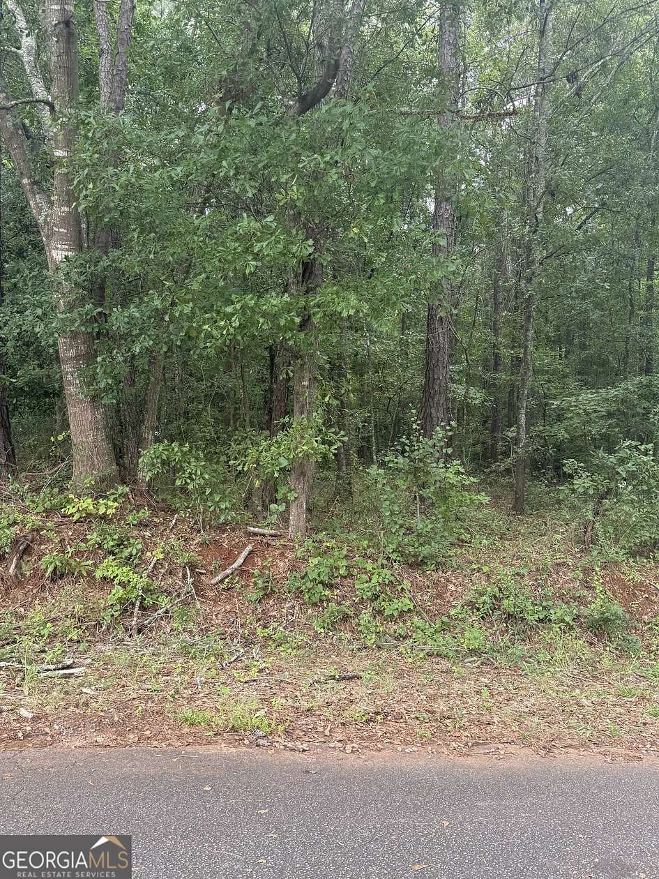 1 Acre of Residential Land for Sale in Thomaston, Georgia