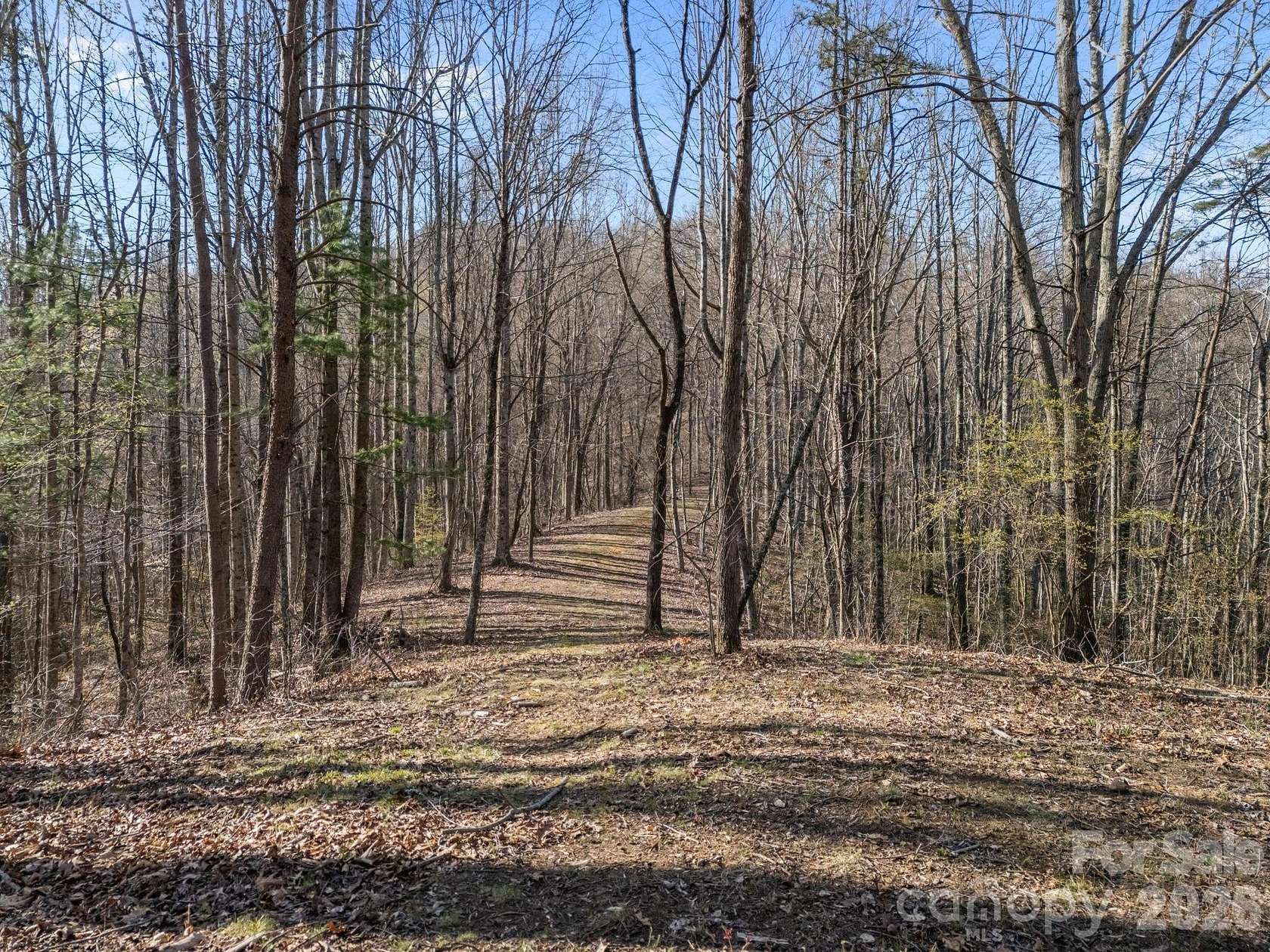 38.3 Acres of Recreational & Residential Land for Sale in Leicester, North Carolina