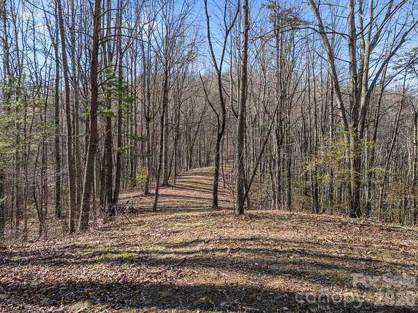 38.3 Acres of Recreational & Residential Land for Sale in Leicester, North Carolina