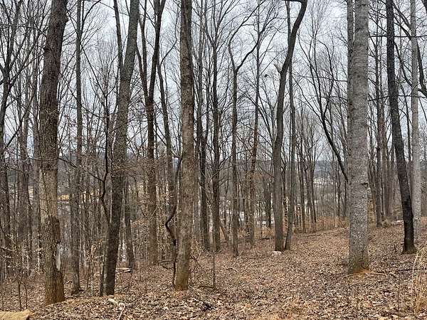 2 Acres of Residential Land for Sale in Livingston, Tennessee