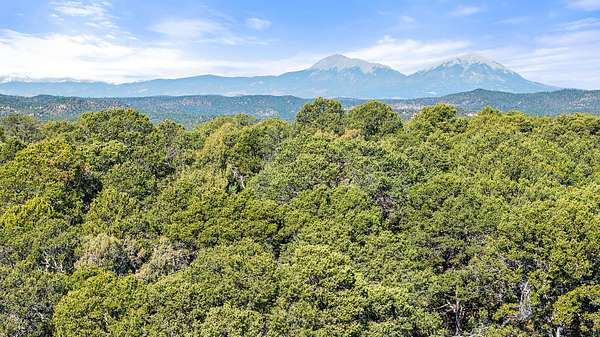 40 Acres of Land for Sale in Trinidad, Colorado