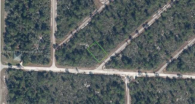 0.17 Acres of Land for Sale in Lake Placid, Florida