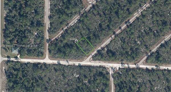 0.17 Acres of Land for Sale in Lake Placid, Florida