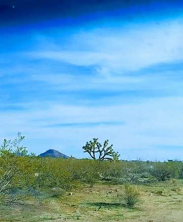 1.15 Acres of Residential Land for Sale in Yucca, Arizona