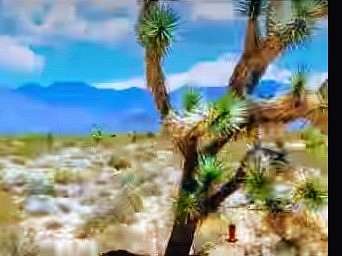 1.15 Acres of Residential Land for Sale in Yucca, Arizona