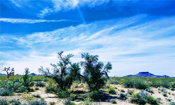 1.15 Acres of Residential Land for Sale in Yucca, Arizona