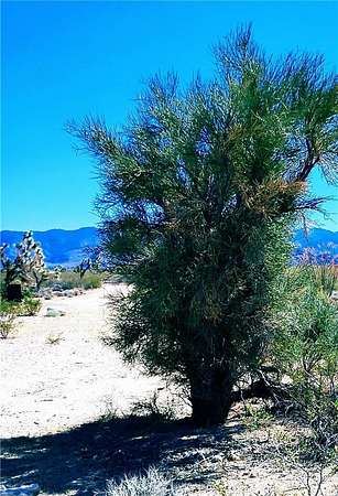 1.15 Acres of Residential Land for Sale in Yucca, Arizona