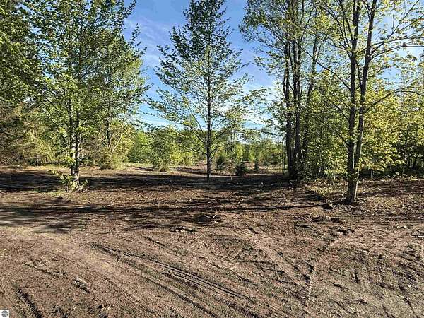 5 Acres of Land for Sale in Maple City, Michigan