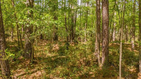 0.36 Acres of Residential Land for Sale in Hideaway, Texas