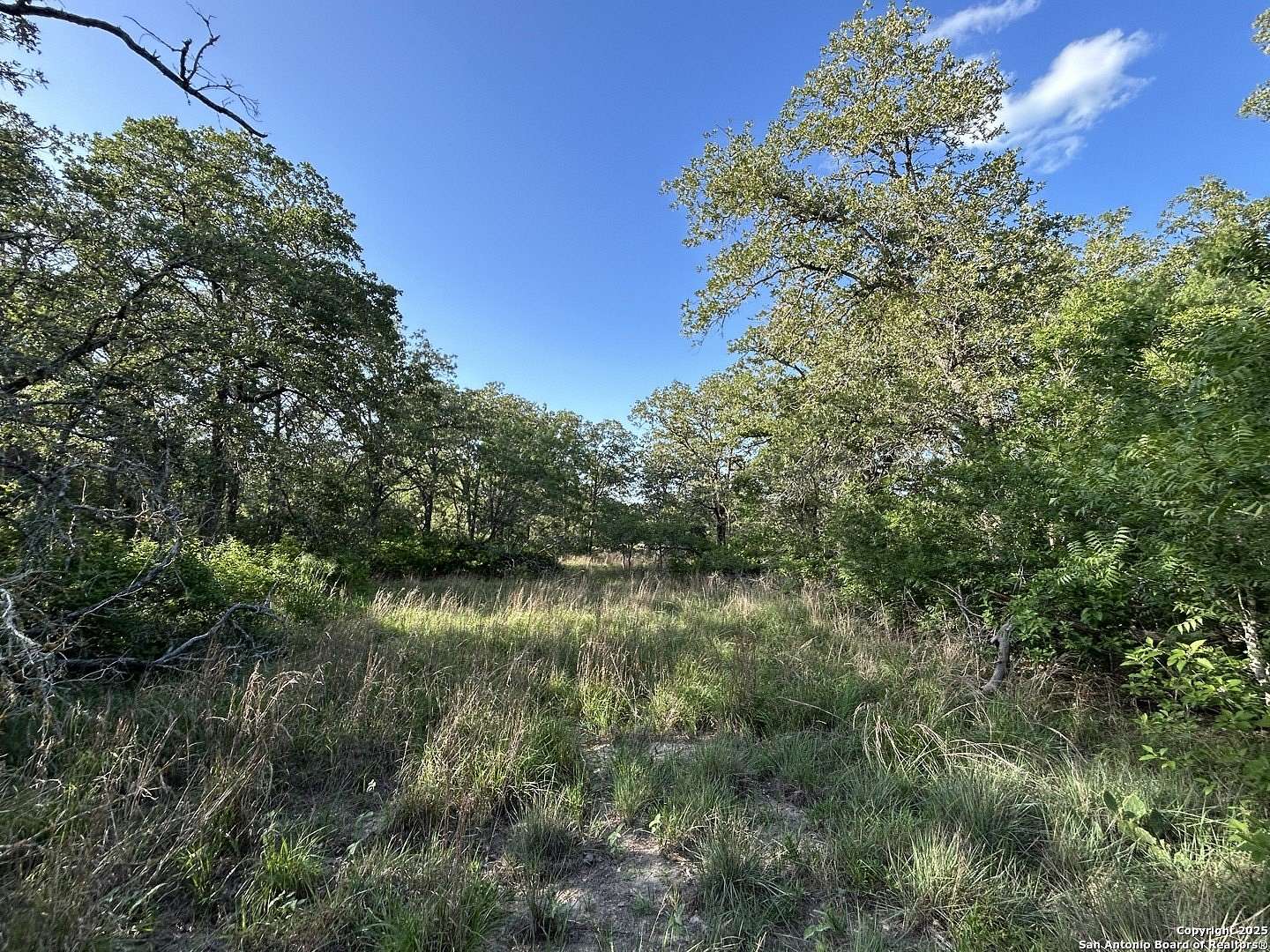 6 Acres of Land for Sale in La Vernia, Texas