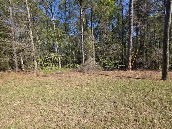 1.88 Acres of Residential Land for Sale in Gibson, Georgia