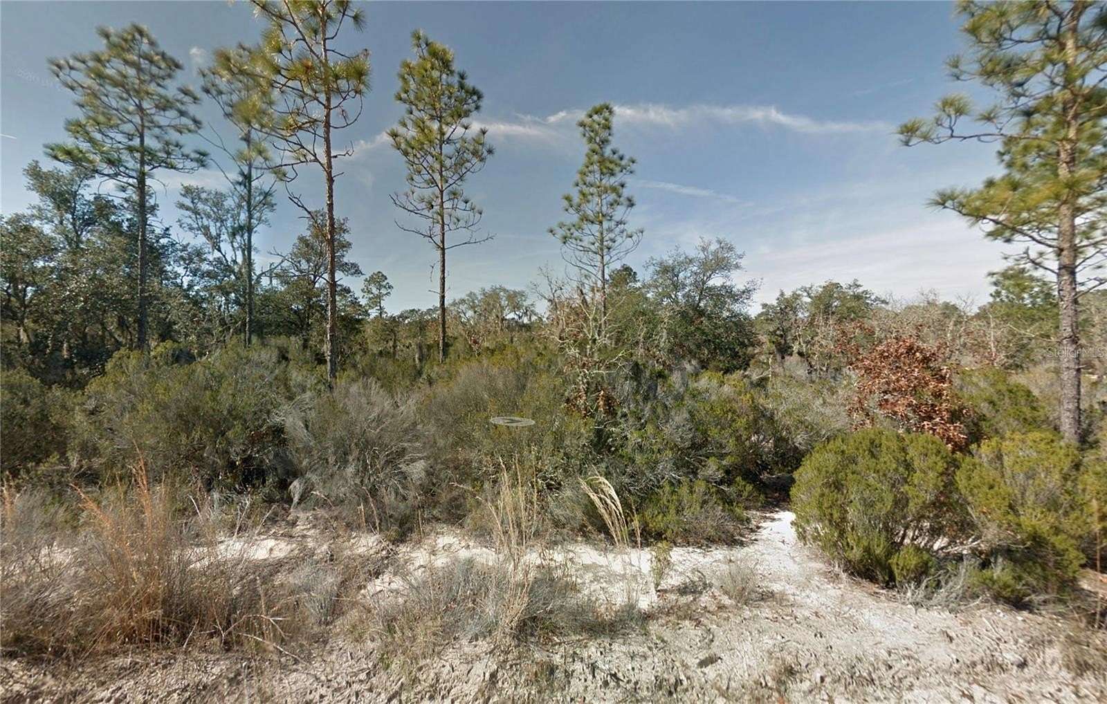 1.25 Acres of Residential Land for Sale in Bronson, Florida