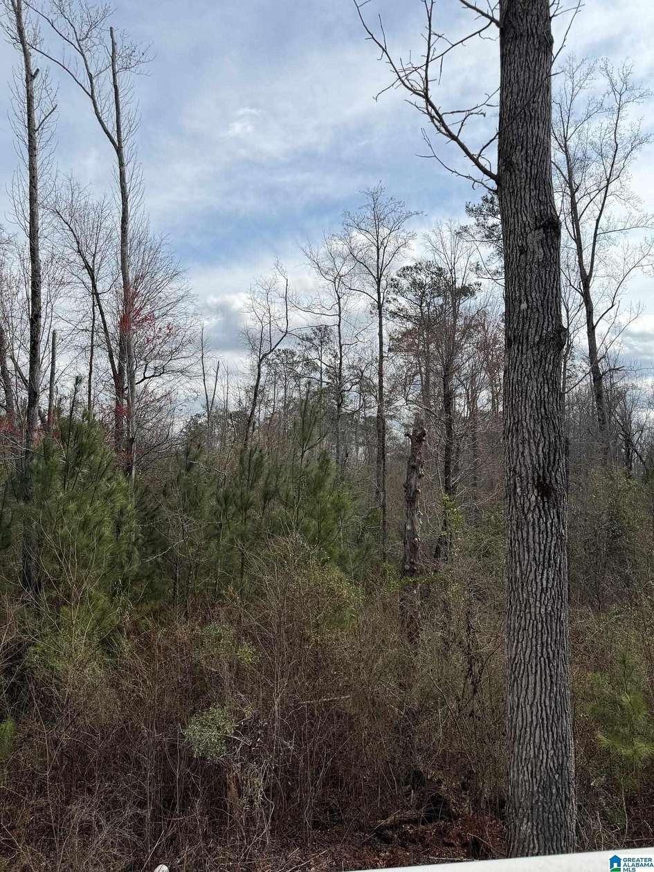 5.4 Acres of Residential Land for Sale in Smiths Station, Alabama
