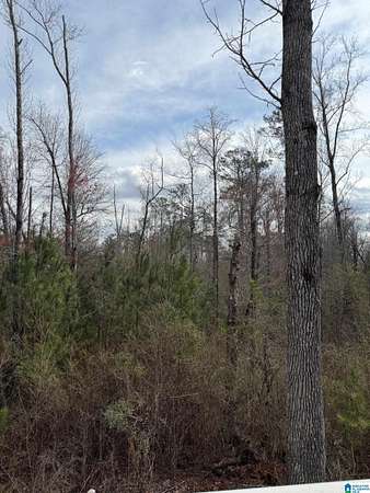 5.4 Acres of Residential Land for Sale in Smiths Station, Alabama