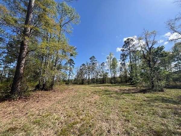 1 Acre of Residential Land for Sale in Brunswick, Georgia