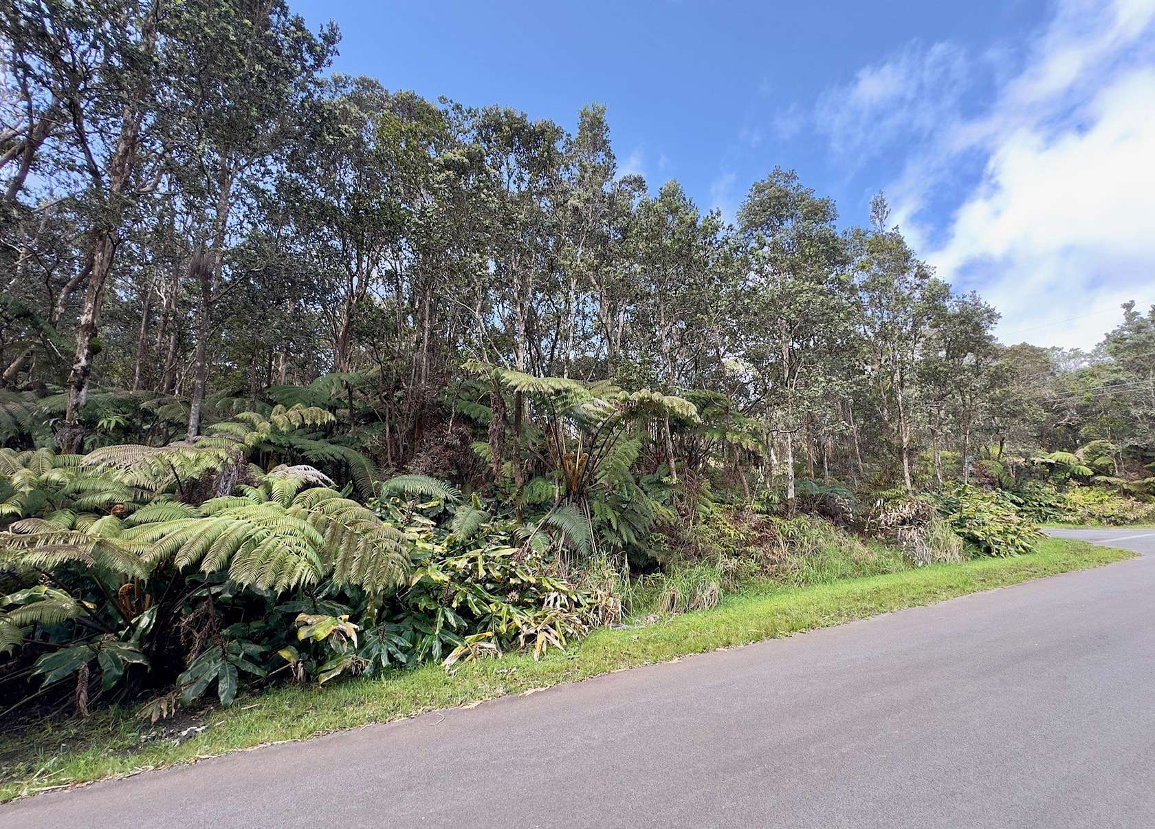 0.46 Acres of Residential Land for Sale in Volcano, Hawaii