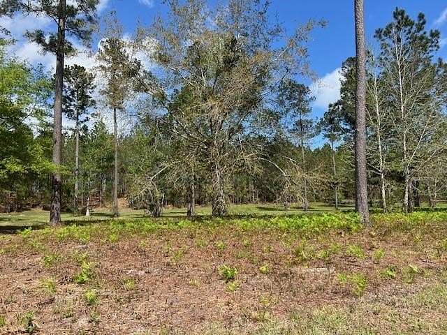 0.55 Acres of Residential Land for Sale in Brunswick, Georgia