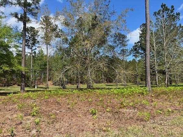 0.55 Acres of Residential Land for Sale in Brunswick, Georgia